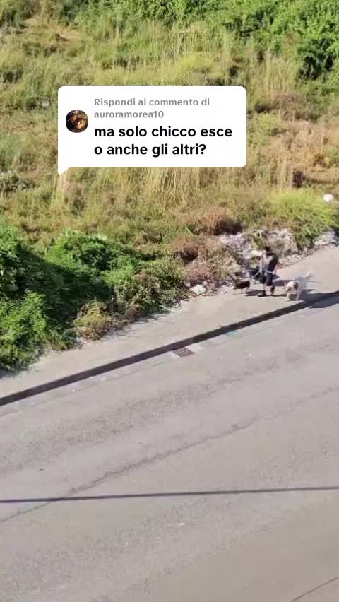 @Ciro Pelliccio