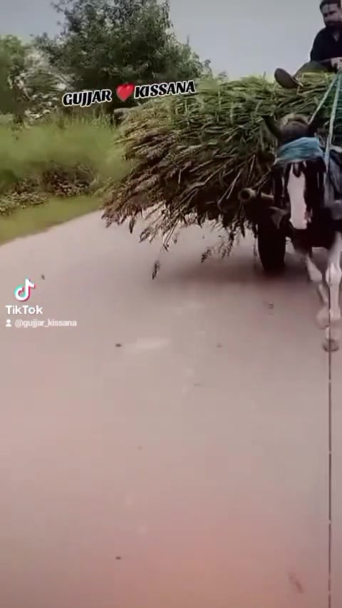 @𝐆𝐔𝐉𝐉𝐀𝐑 𝐊𝐈𝐒𝐒𝐀𝐍𝐀55