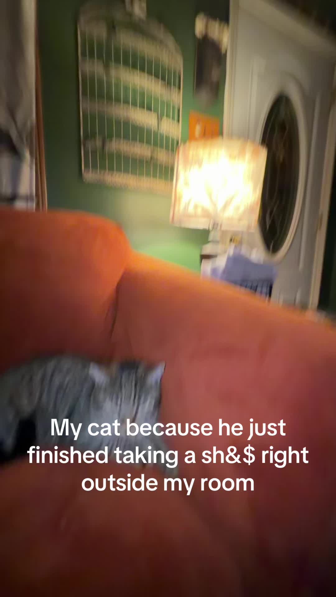 @Maxkz