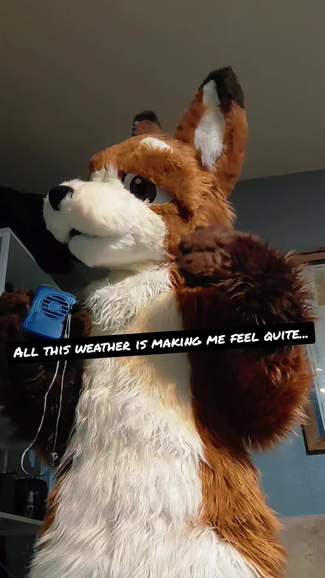 @Charliewolf