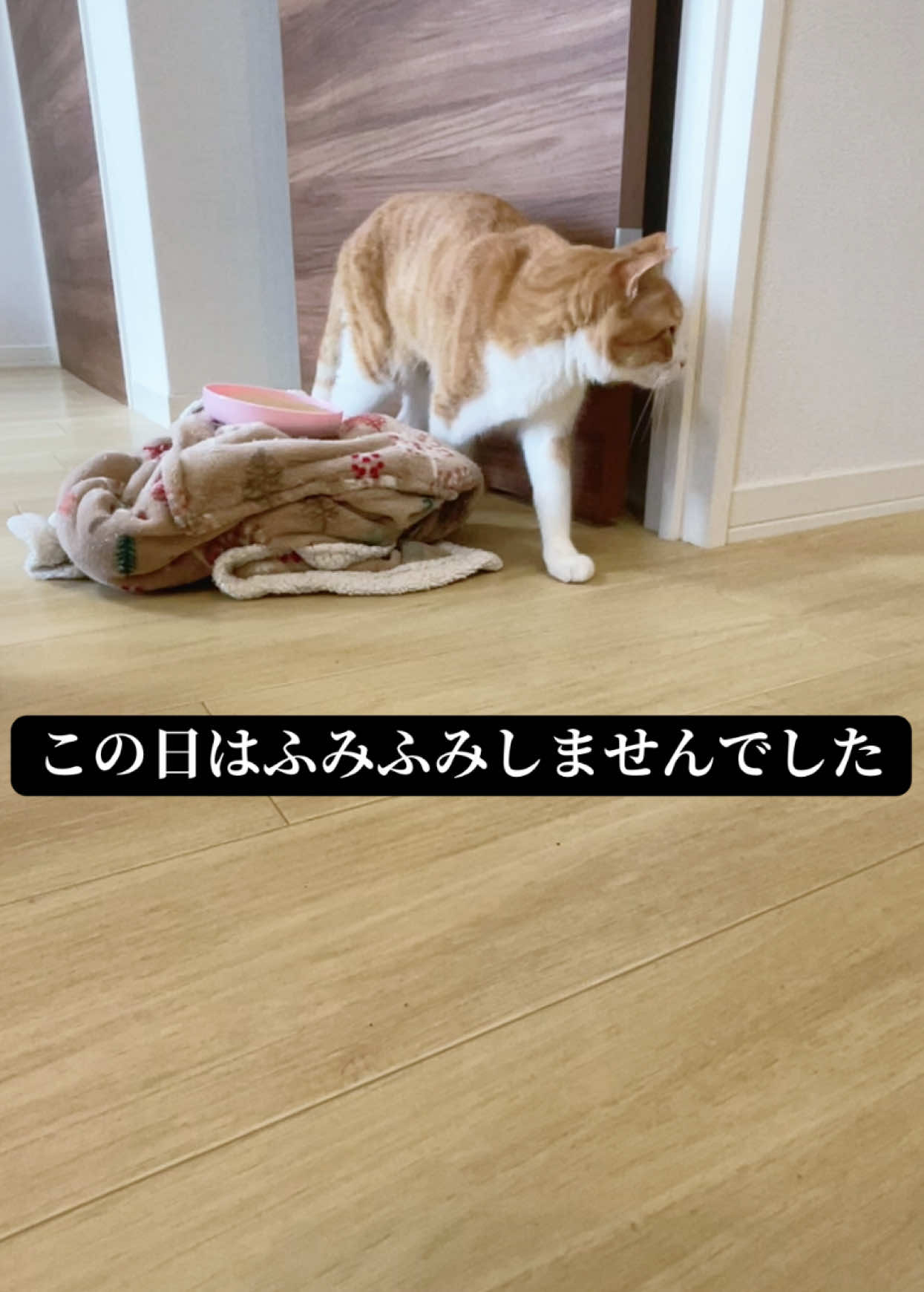 @みーこchannel