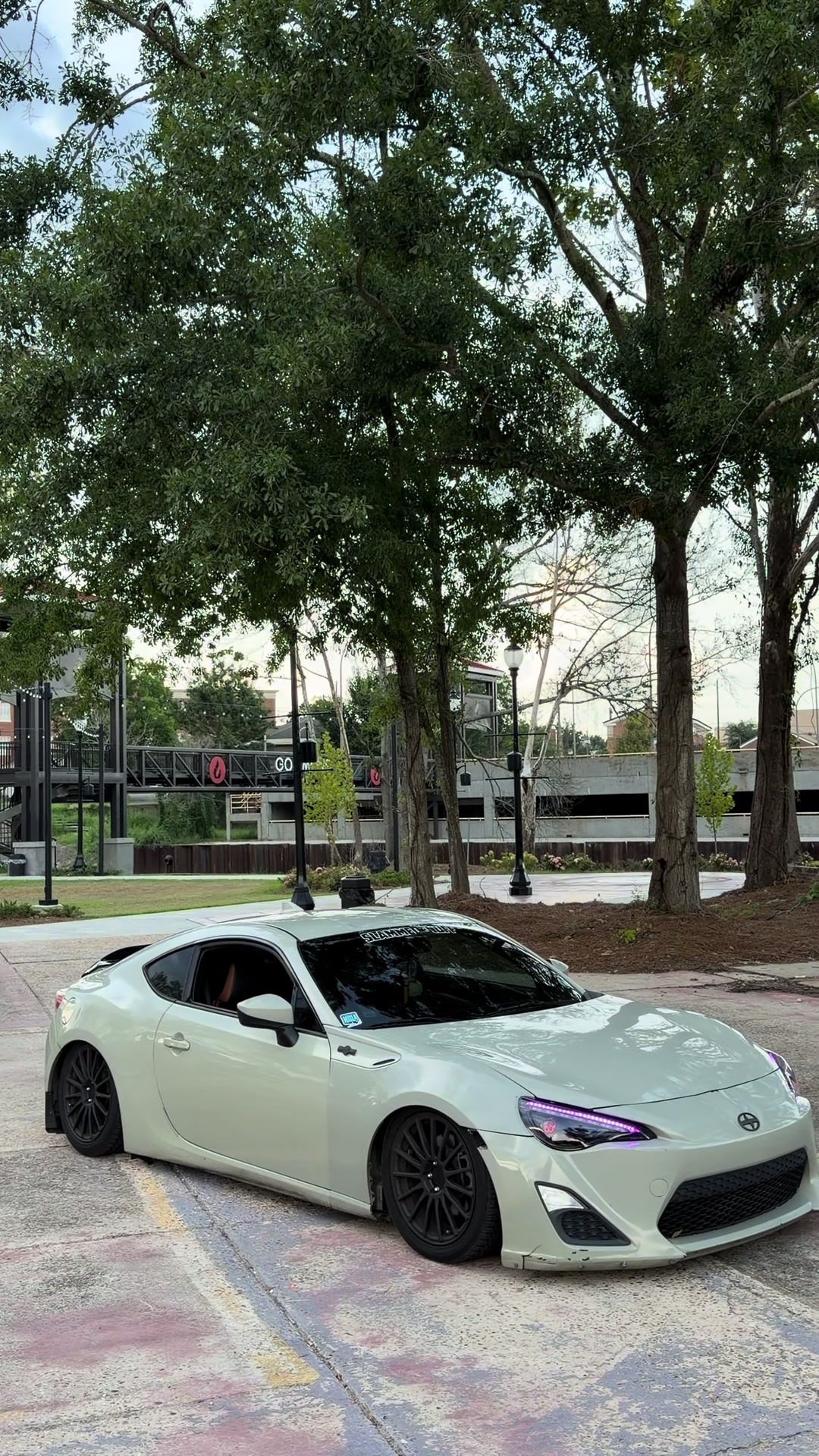 @that_baggedfrs
