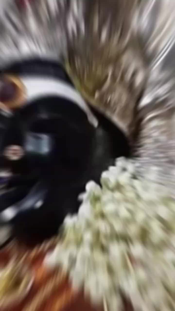 @Destiny