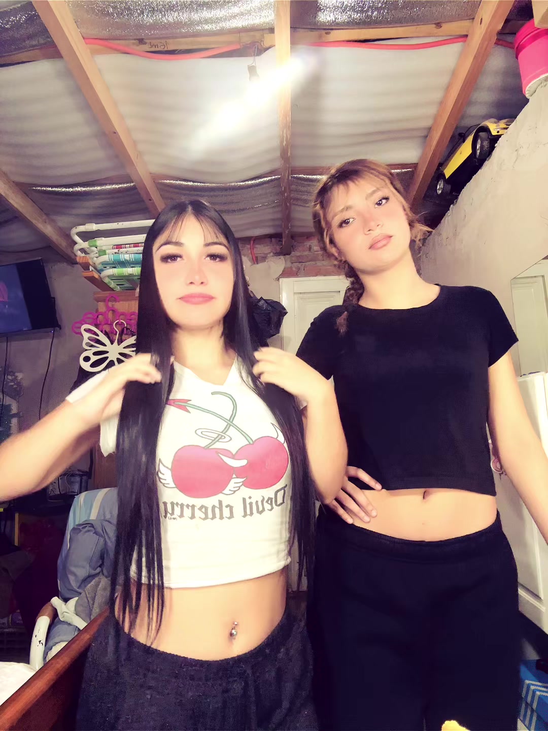 @ᥫ᭡ 𝓟𝓻𝓲𝓼𝓬𝓲𝓵𝓪