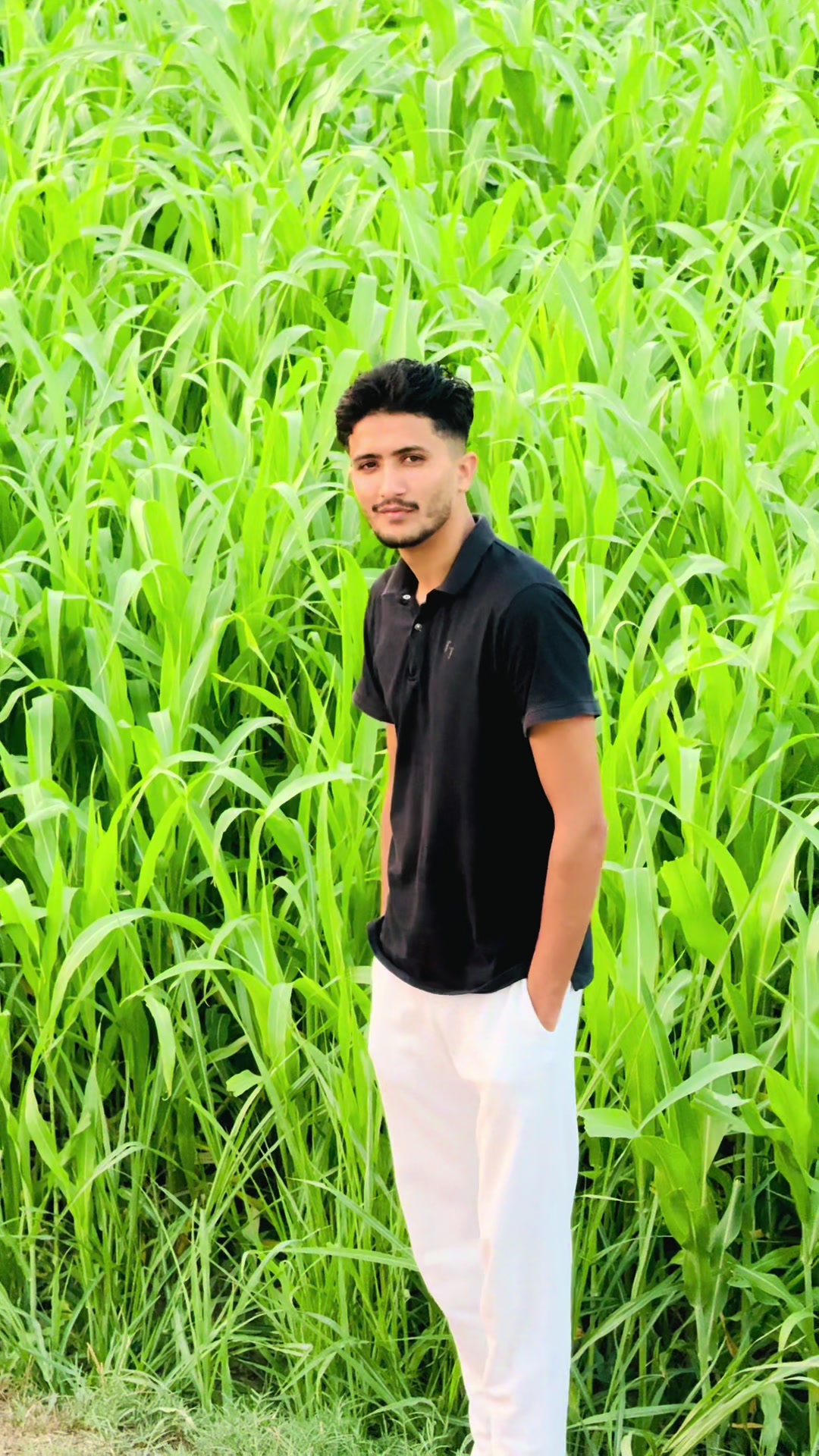 @Sardar Abdullah Bajwa 185
