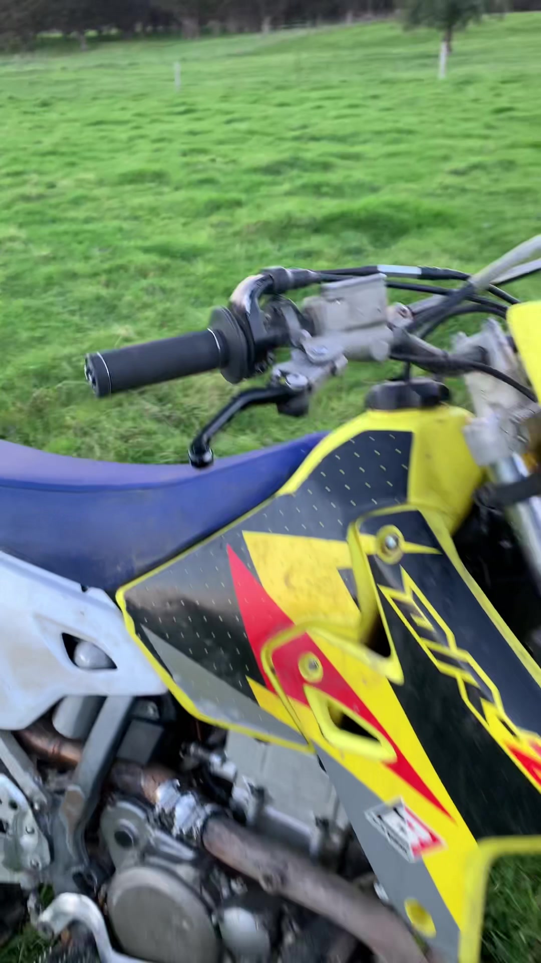 @DRZ Toby🫠