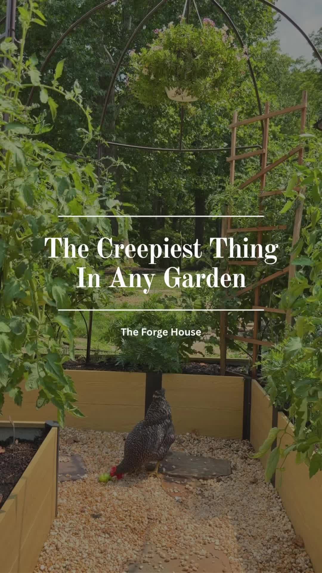 @Tyler Bouldin: The Forge House