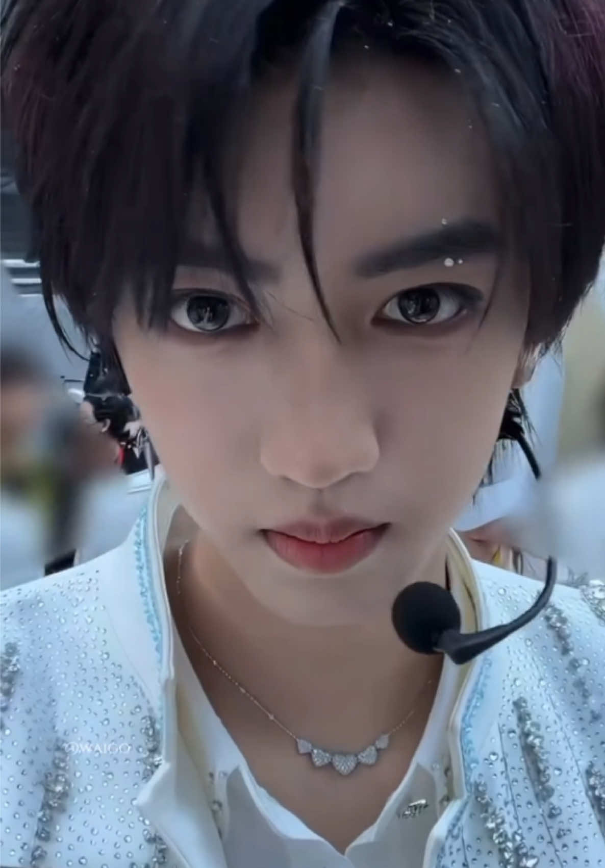 @JunXuLin🦋💙