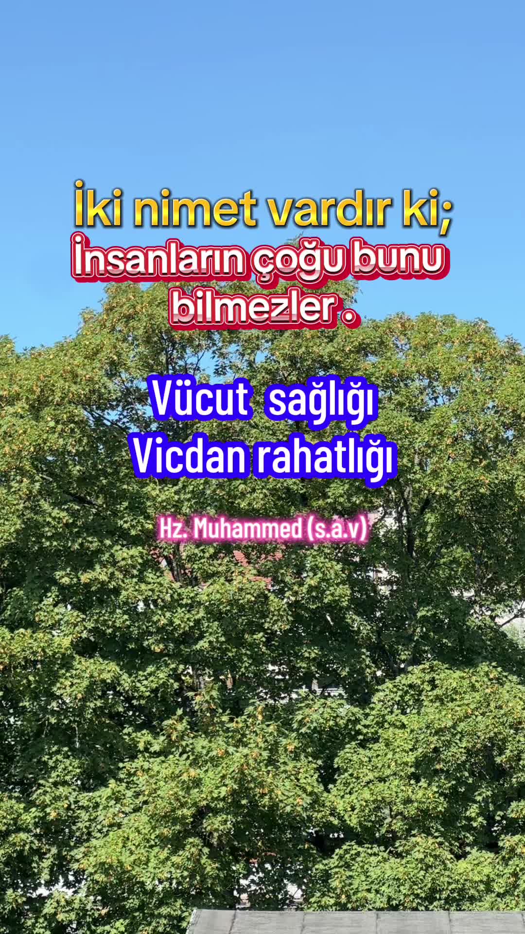 @azaelya