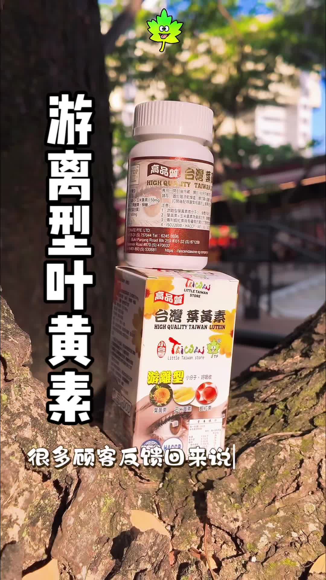@TF&ensp;SG