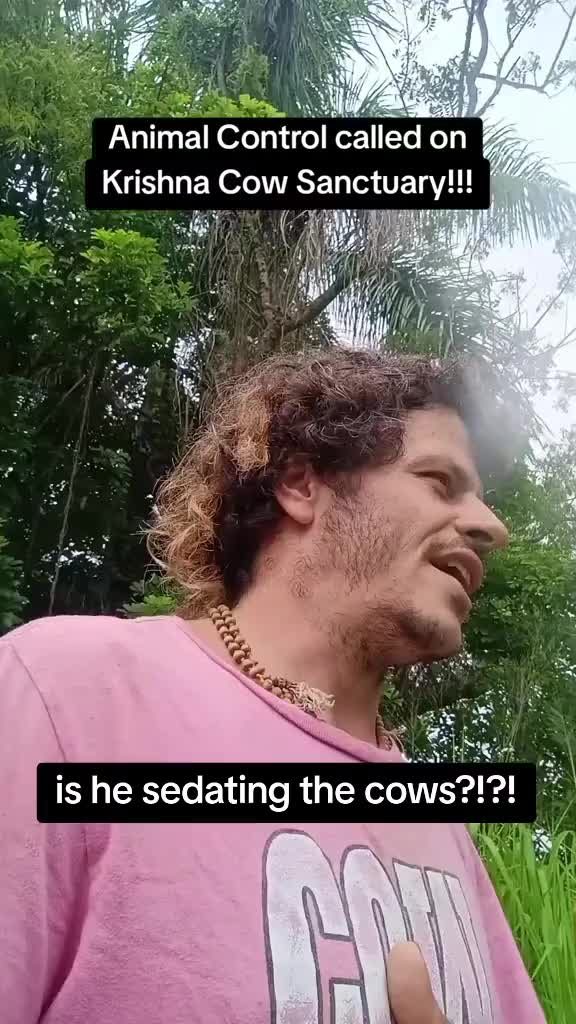 @Krishna Cow Sanctuary