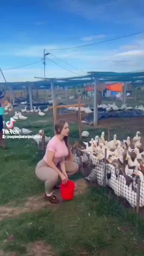 @el diácono
