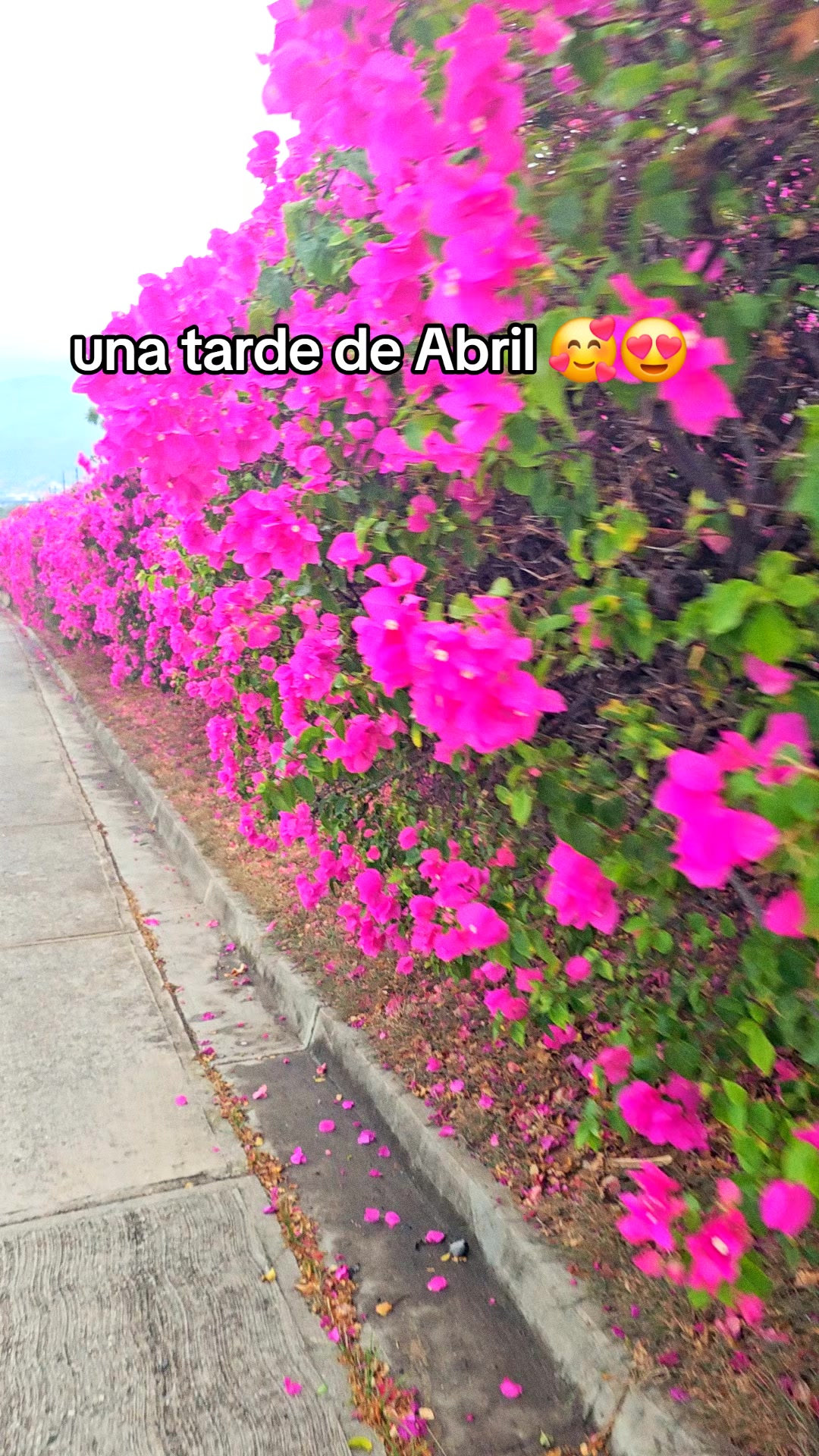@Moy🖤