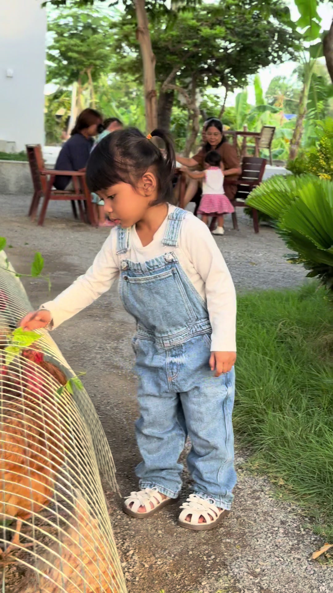 @ហេង រក្សា