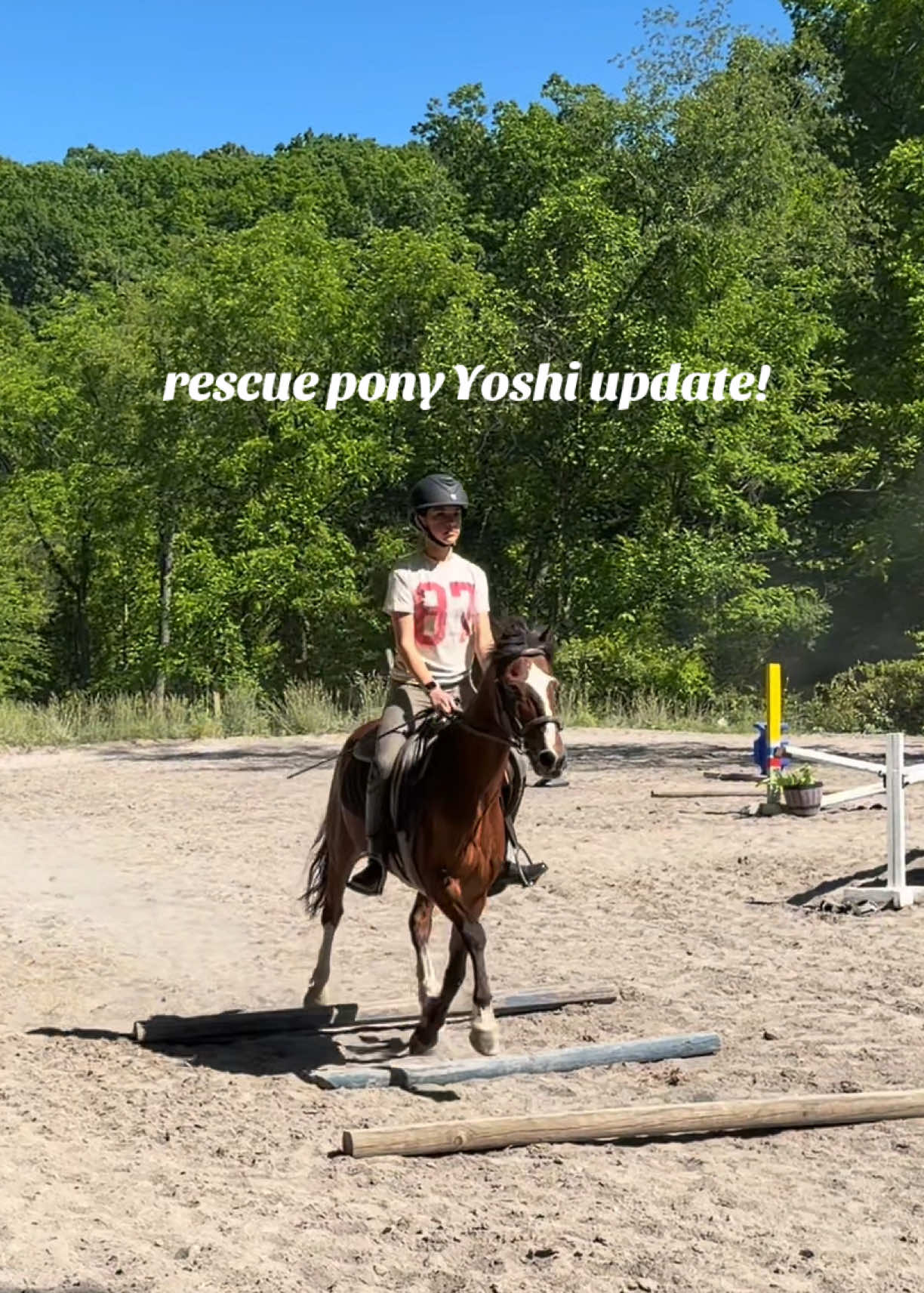 @Lunar Hill Equestrian