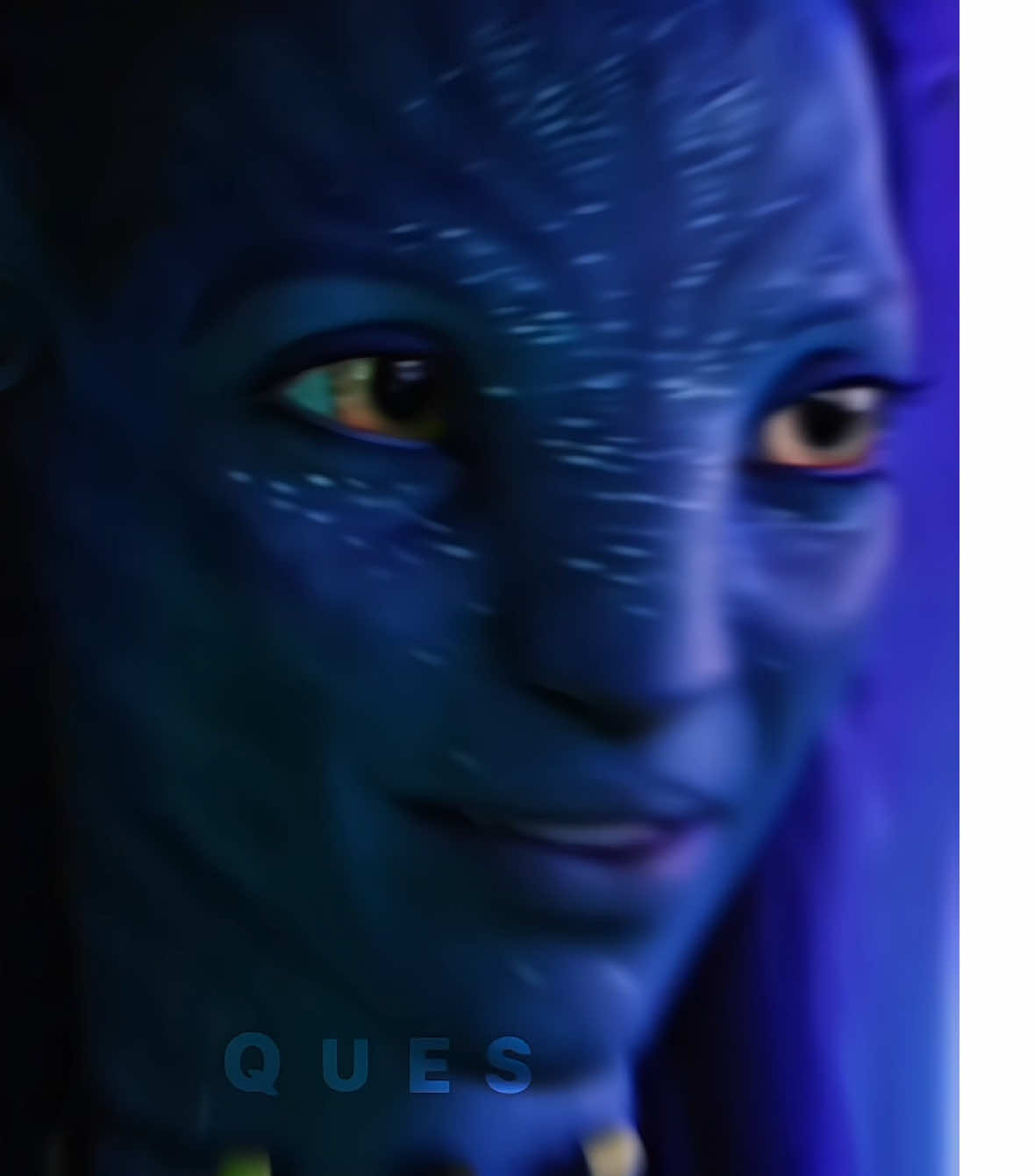 @𝑸𝑼𝑬𝑺™