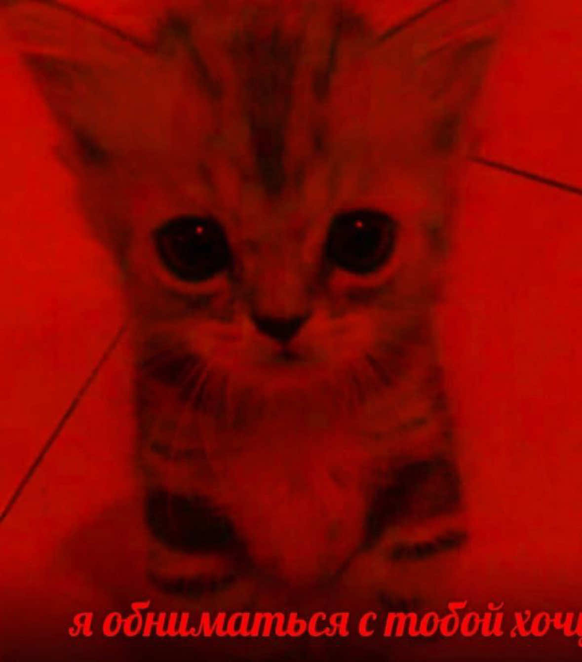 @тгк: амельина лайв 2.0 👿