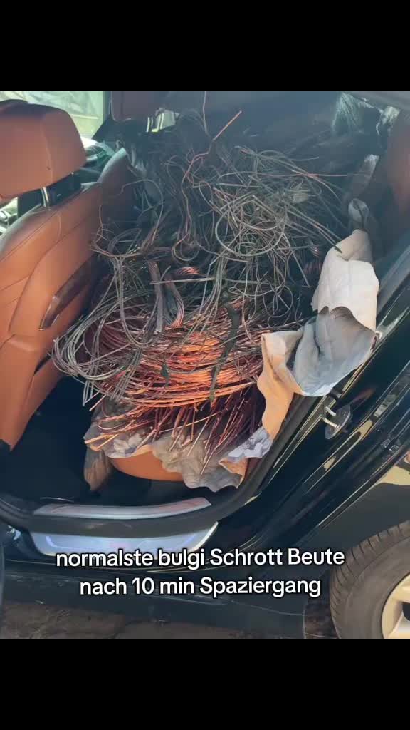 @geprüfter bulgi
