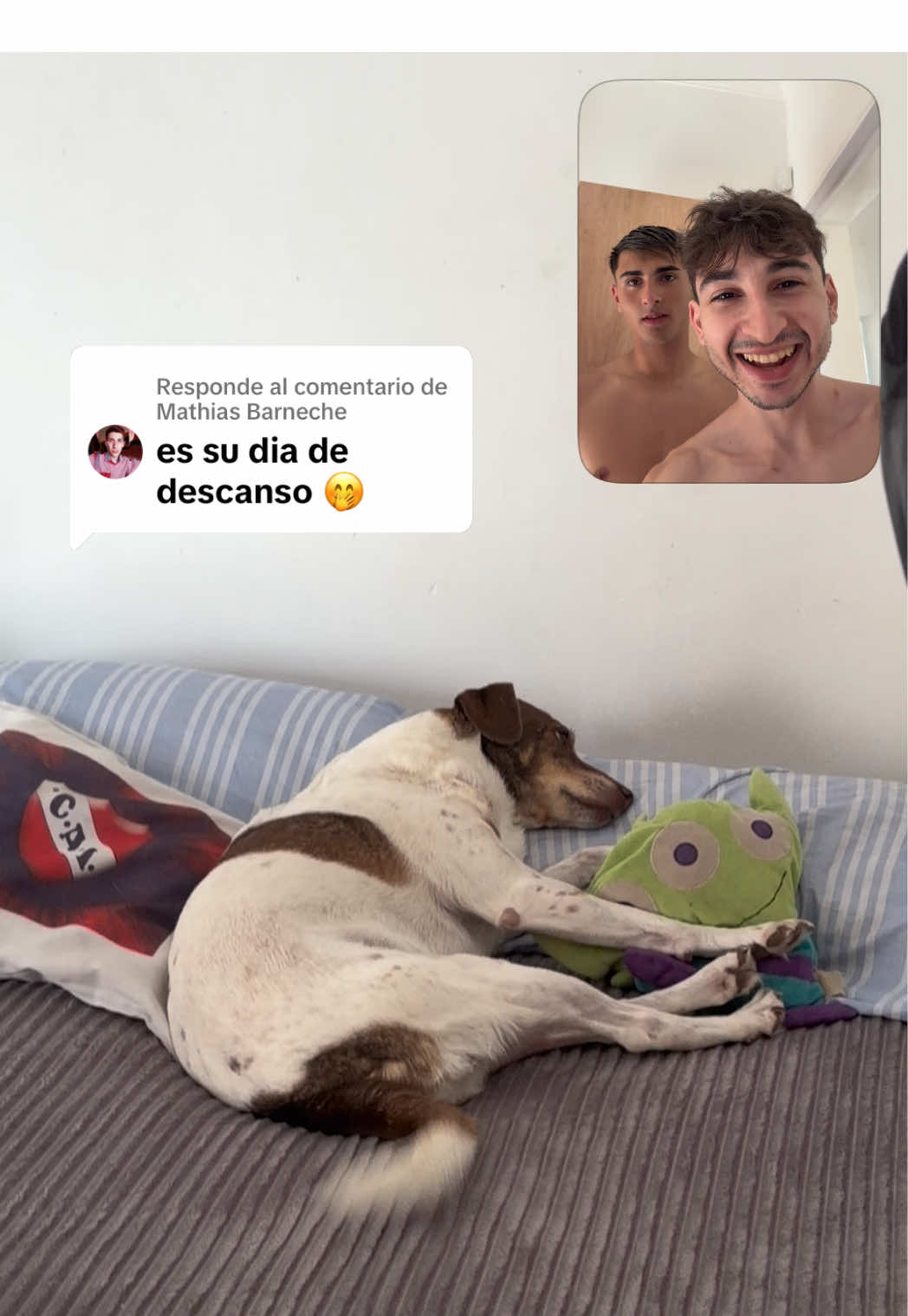 @Lauti
