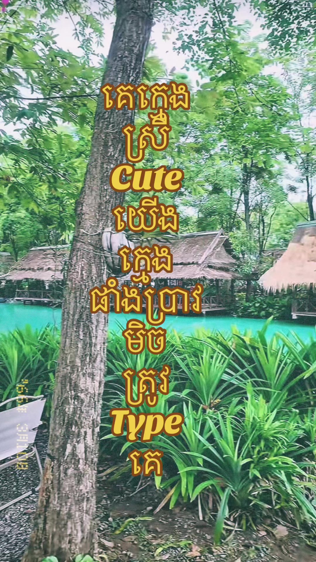 @✨Chom nan✨
