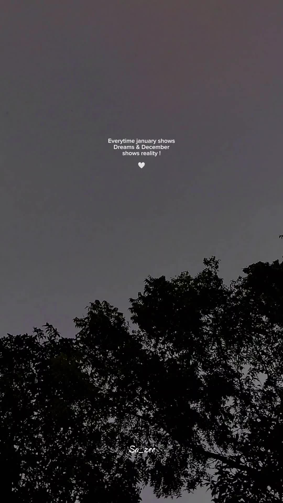 @𝐒 𝐀 𝐍 𝐈 • 