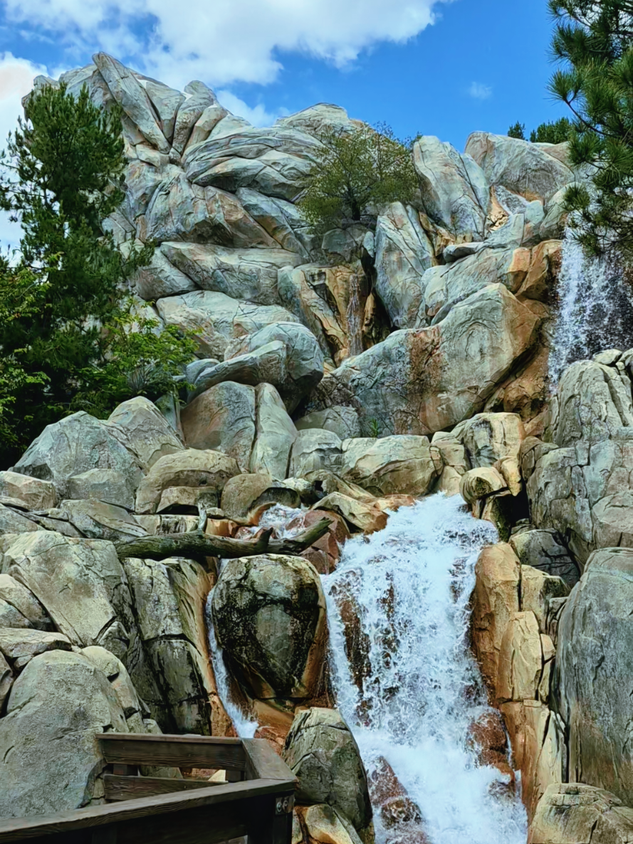 @✨️ Disney Vieja ✨️