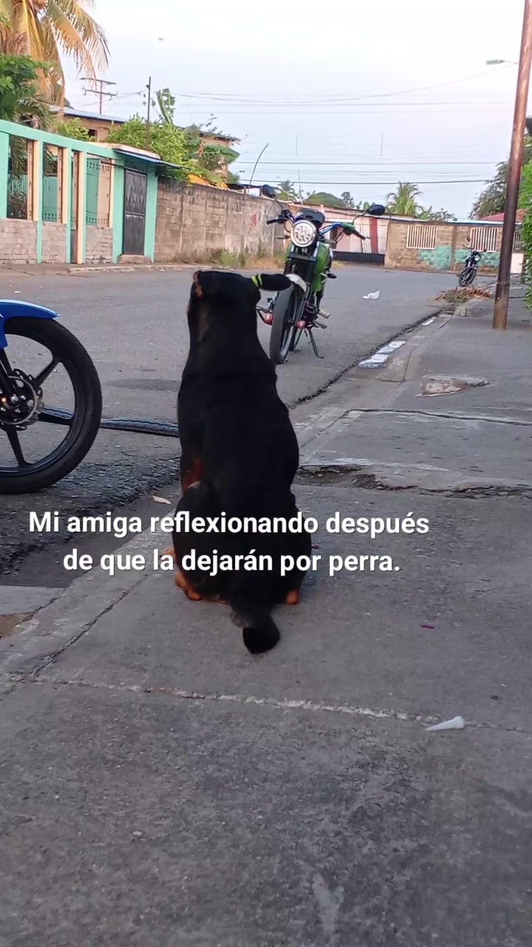 @dexiscaro1