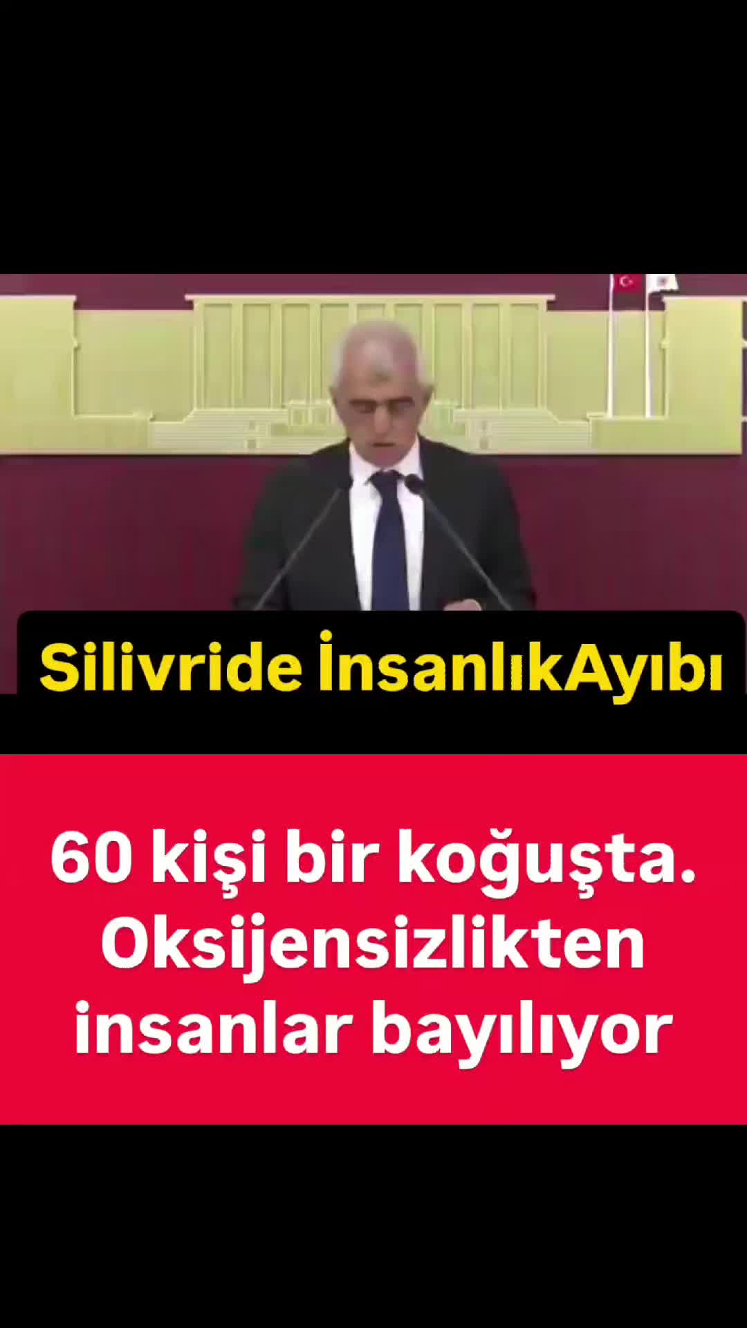@Adini Senkoy