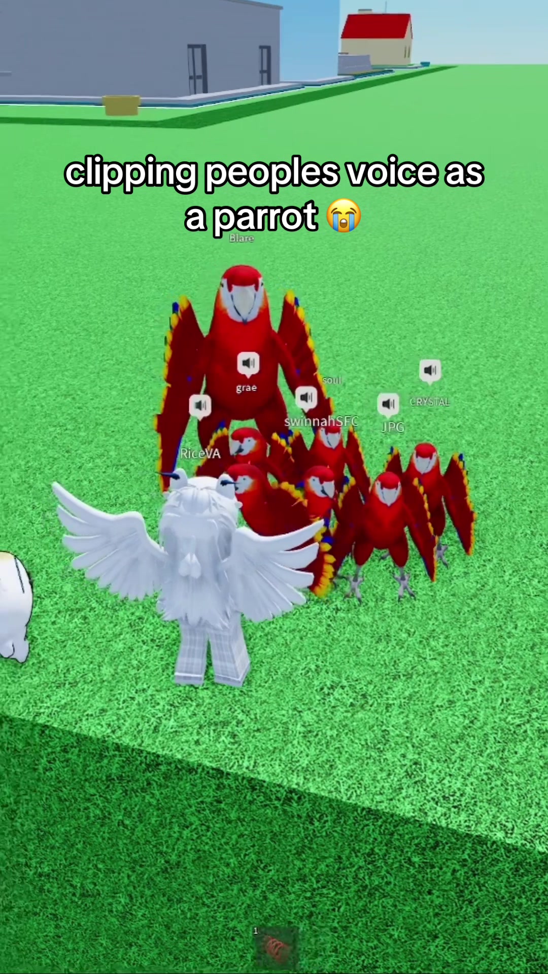 @nobrainjames