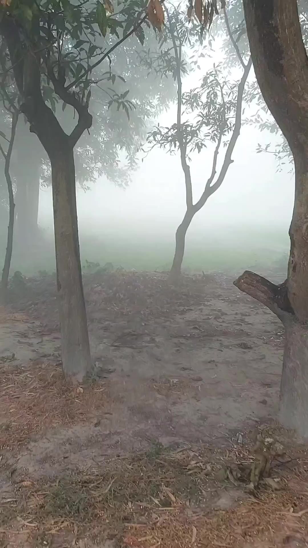 @𝐁𝐈𝐒𝐇𝐍𝐔 𝐃𝐄𝐕