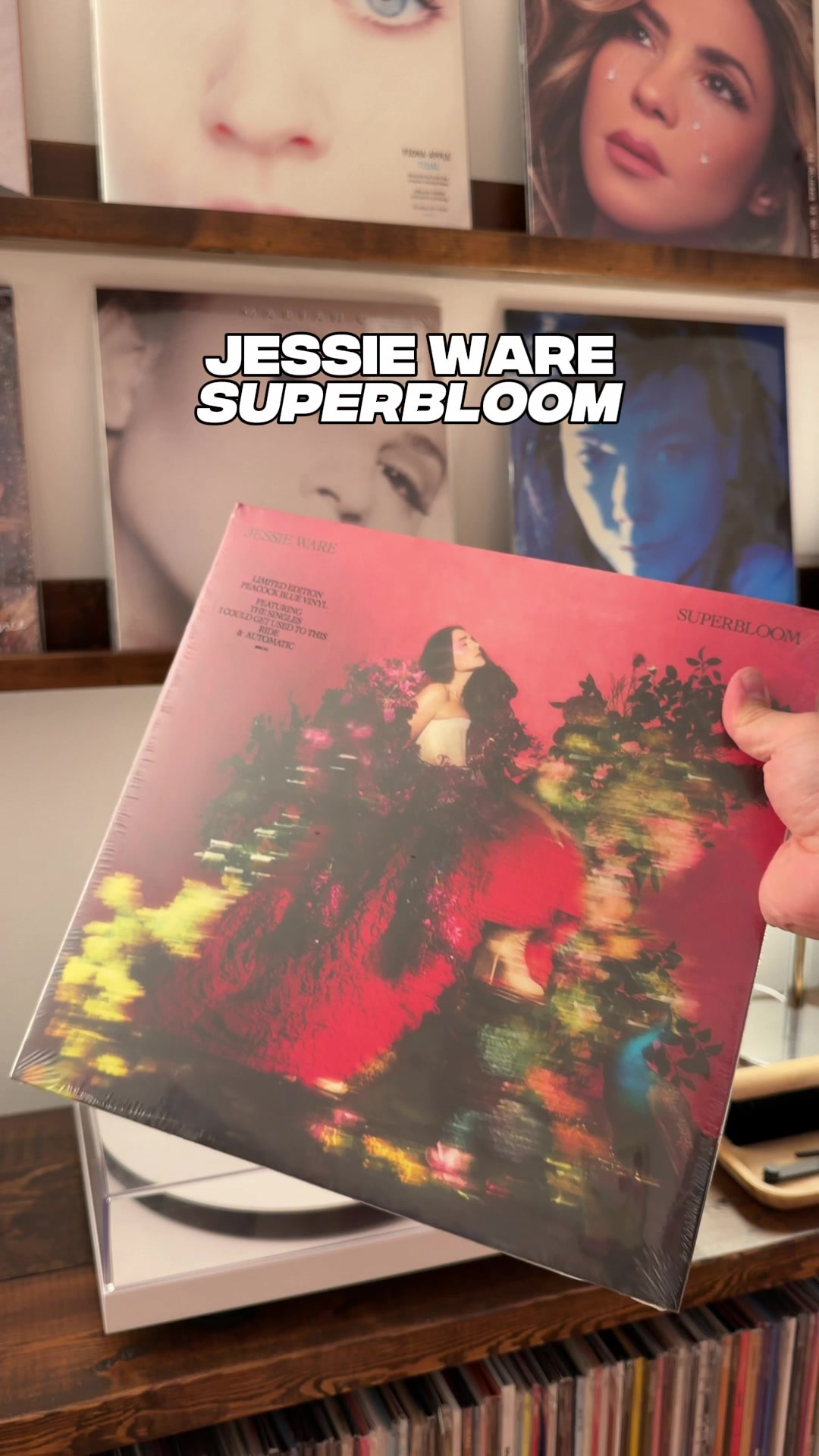 @San’s Vinyl