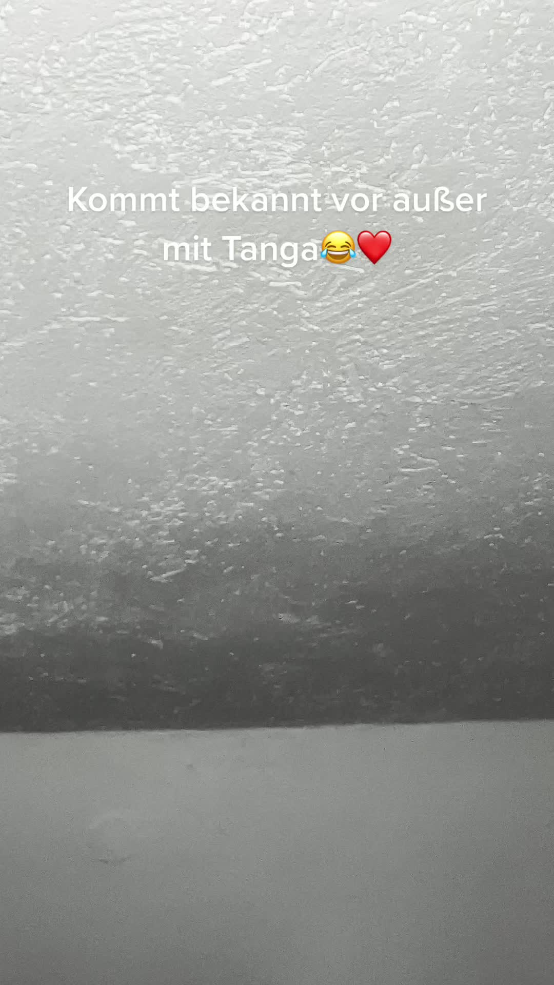 @sunny96