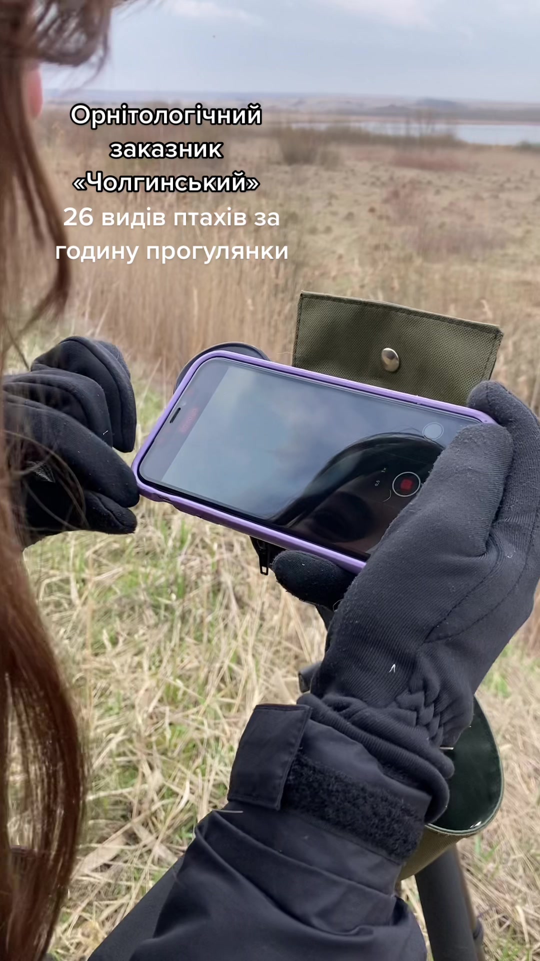 @Птахи, бьордвочинг, орнітолог