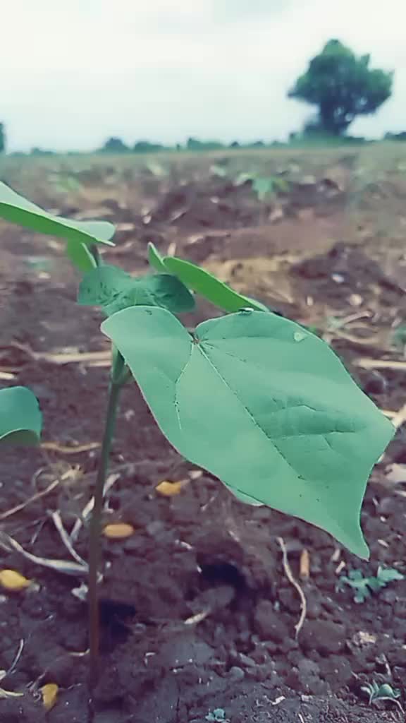 @r_a_k_e_s_h_patil