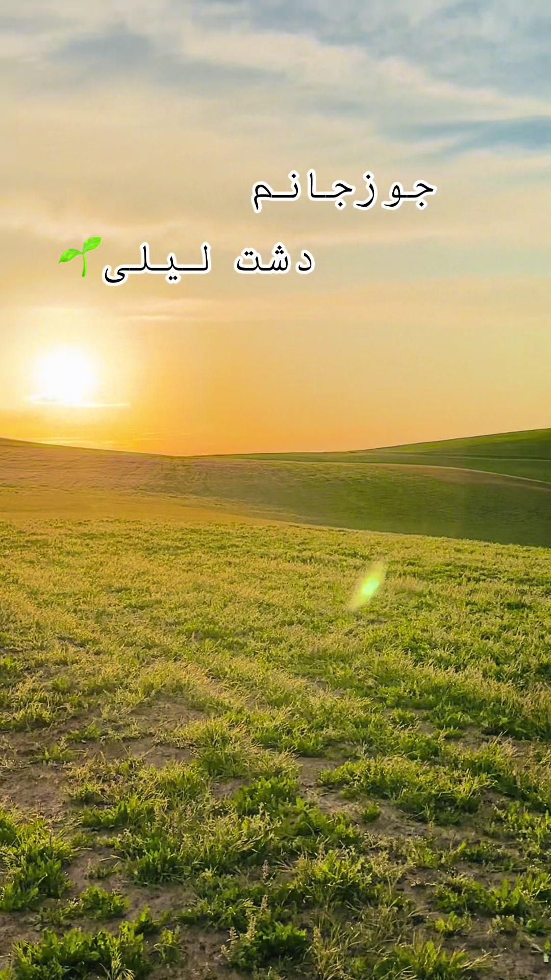 @Farid_Hamidi_007