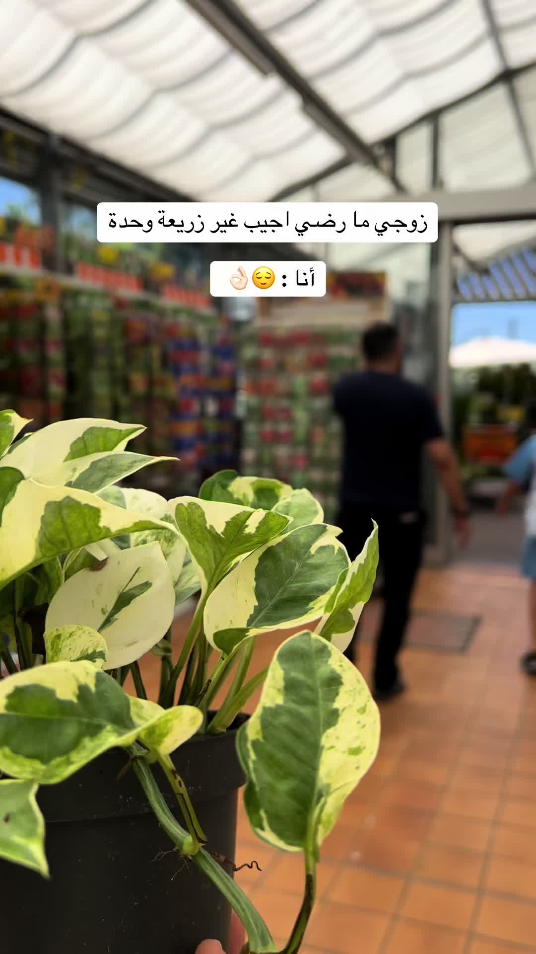 @|١٤١٤ه الَبتُــــــــــولْ