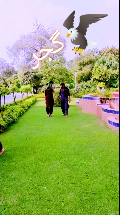 @M Ismaeel Gujjar