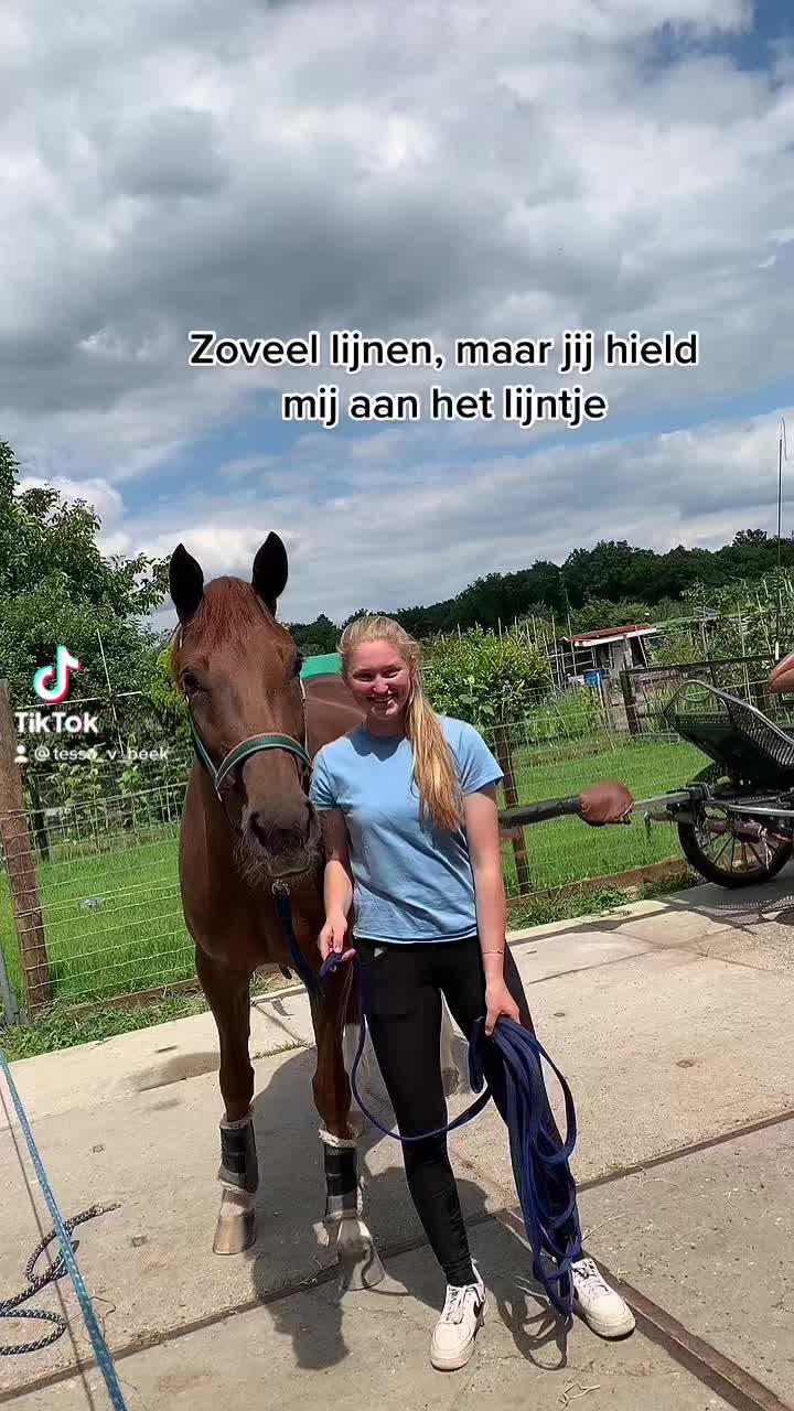 @De Hilversumse ponyclub