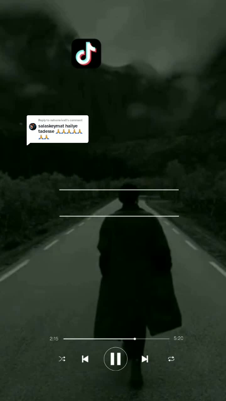 @s_________h(lyrics)