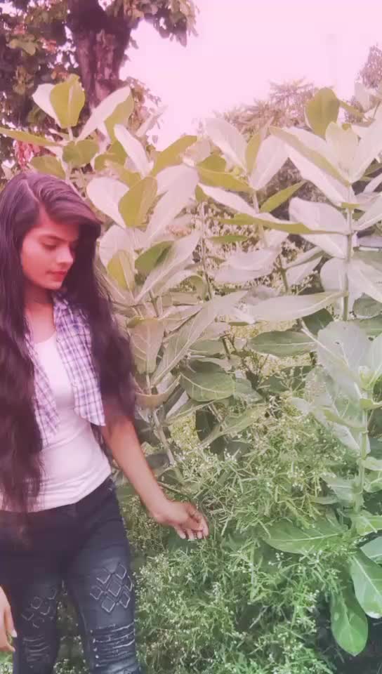 @shivani soni