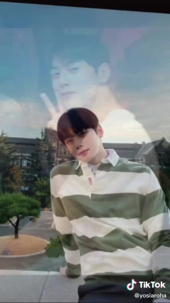 @Cha Eunwoo 차은우