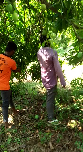 @Kaka Sai Ram