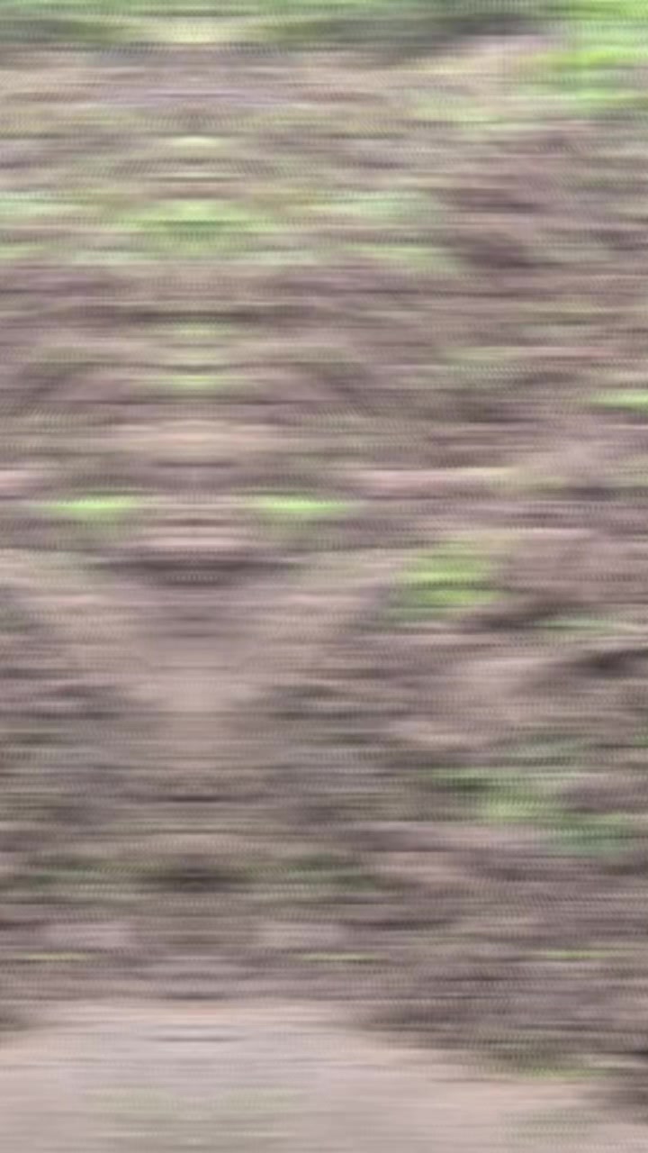 @Telman 075