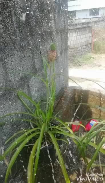 @ബെന്നി വടക്കൻ