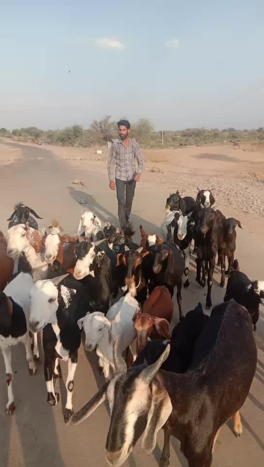 @Balmuknd Jat