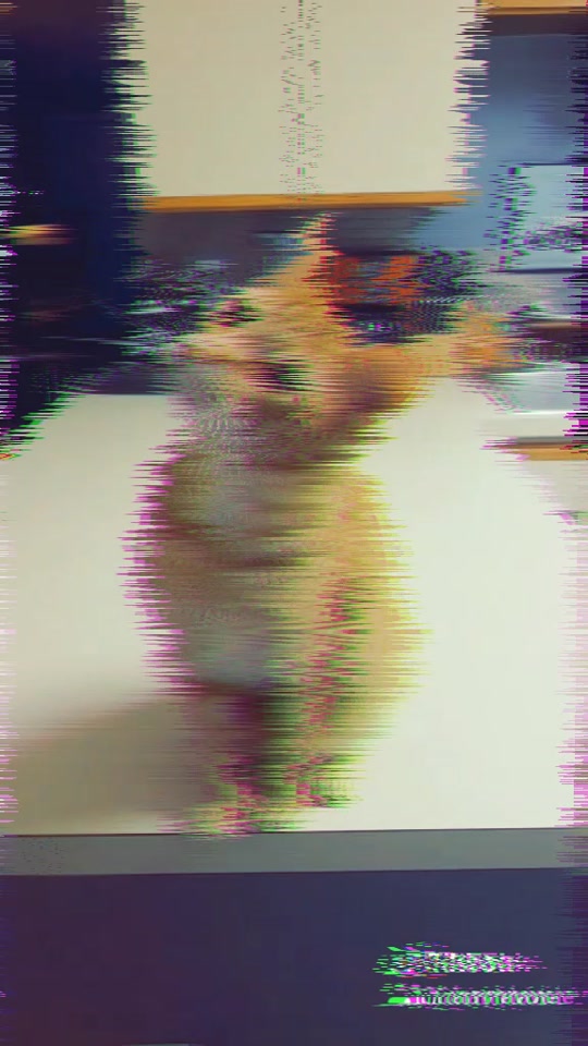 @wolfy