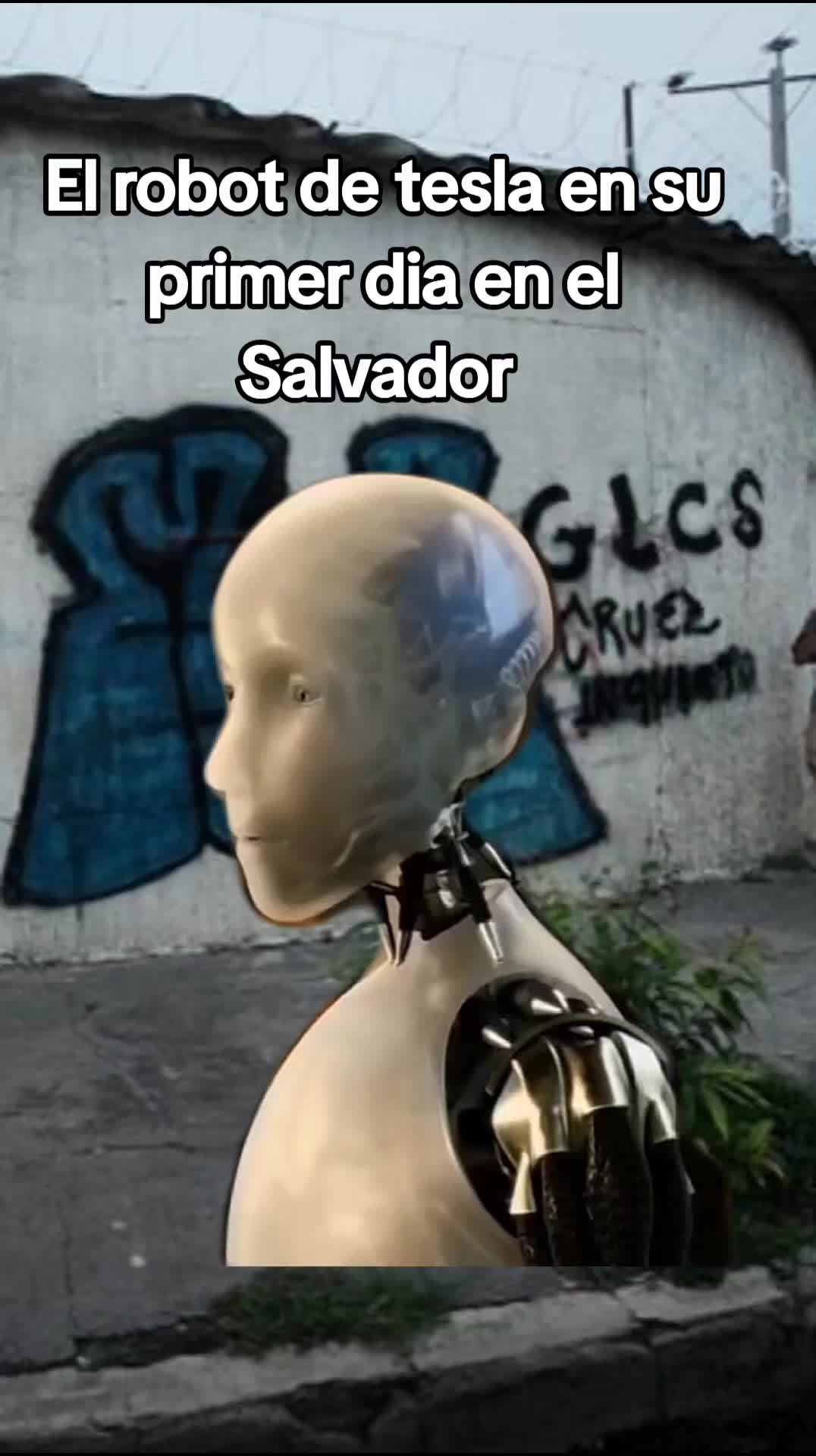 @Todo Retr0