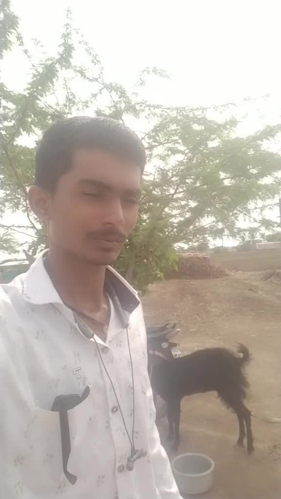 @राजा /राणी