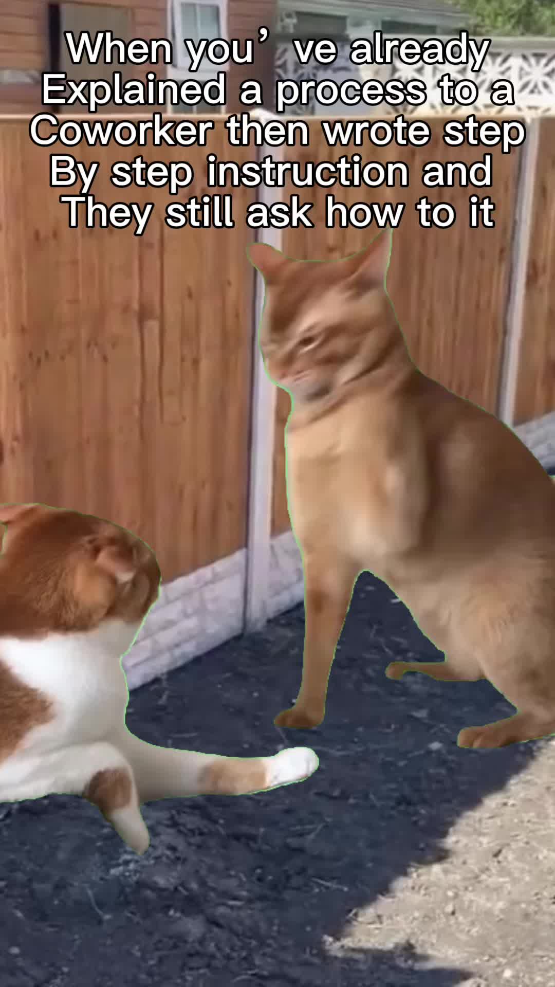 @Jake