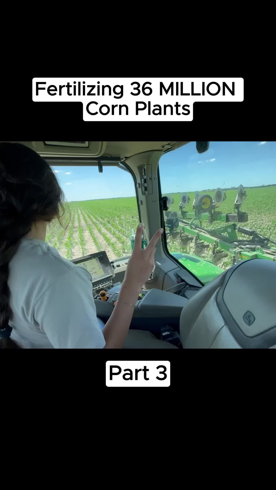 @Laura Farms